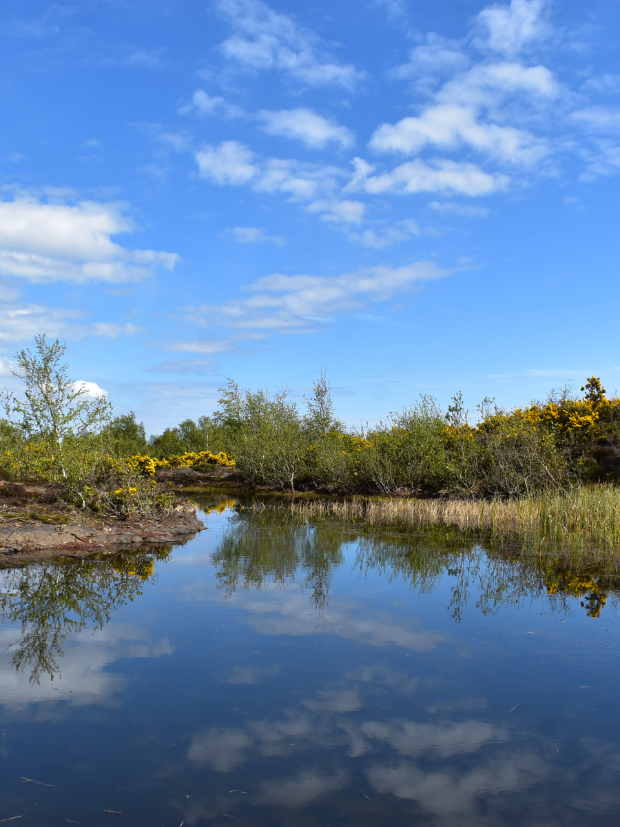 Chris Farquhar: Lockdown Adventures to the Pond