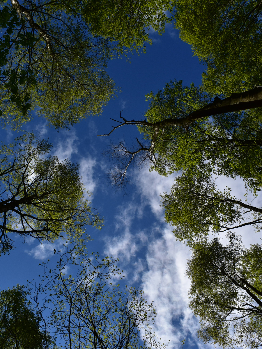 Chris Farquhar: Look Up