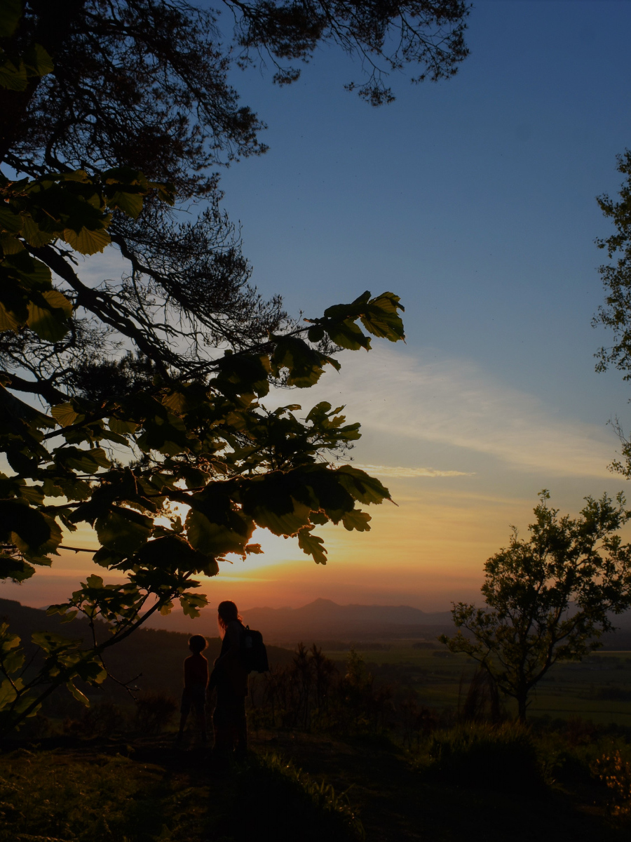 Chris Farquhar: Sunset Walks