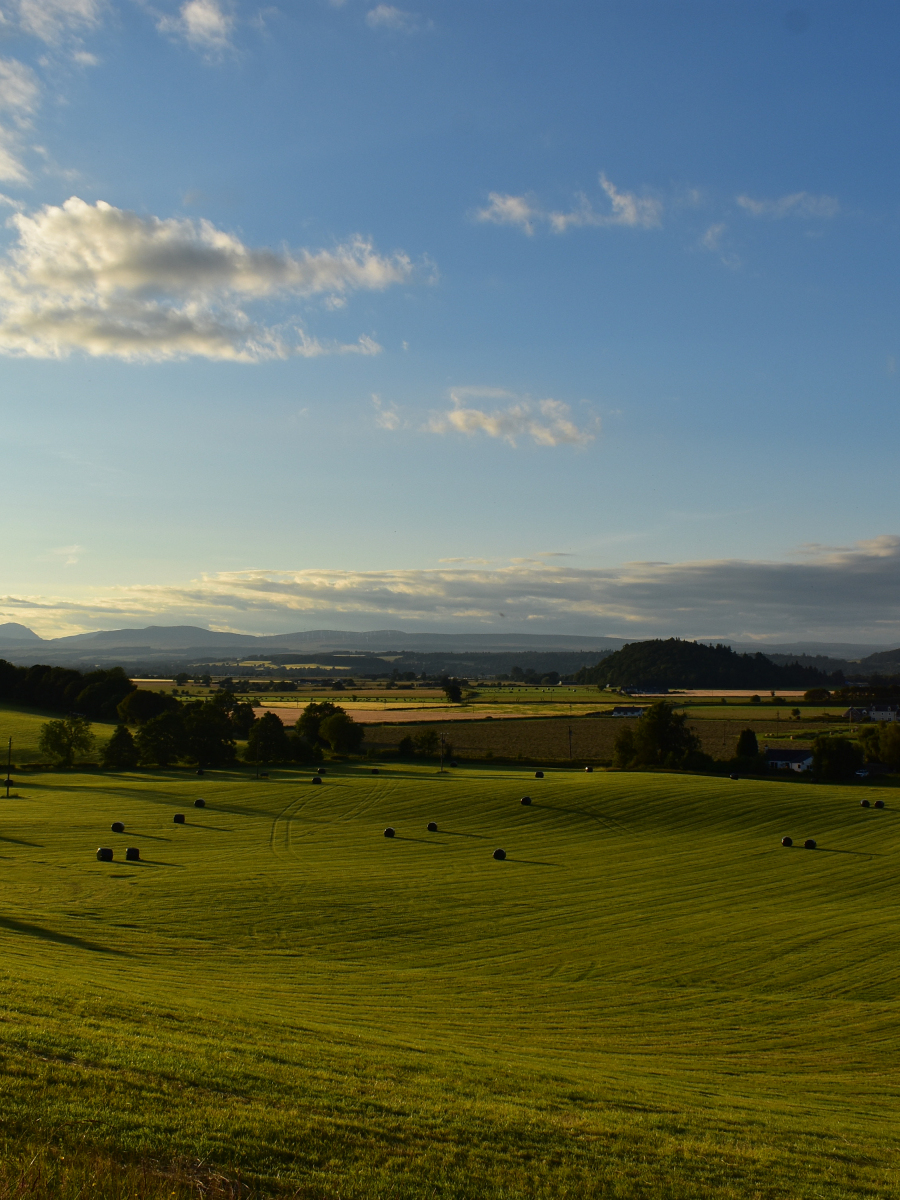 Chris Farquhar: View from Touch Road