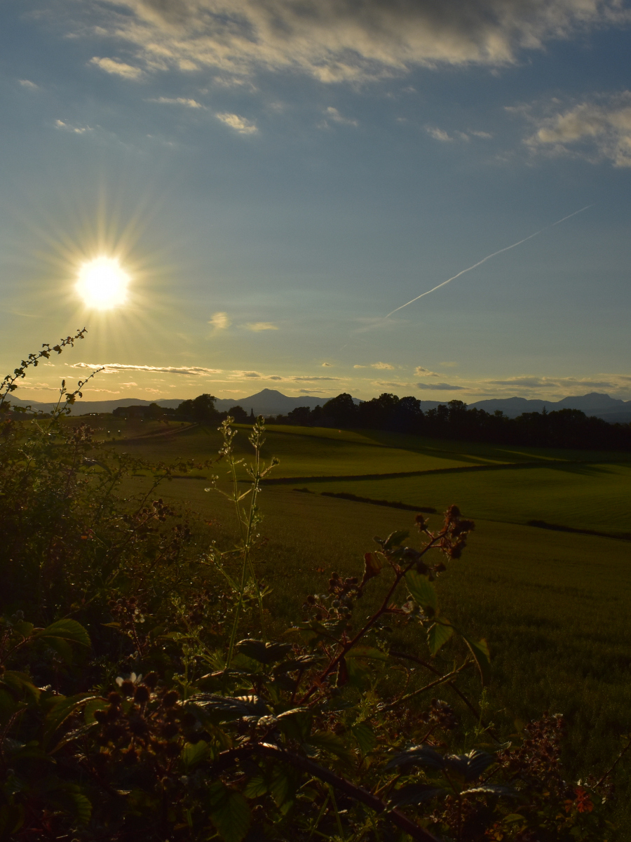 Chris Farquhar: Views at Sunset