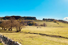 Craig Robertson: Looking up to the quarry from behind Gartur