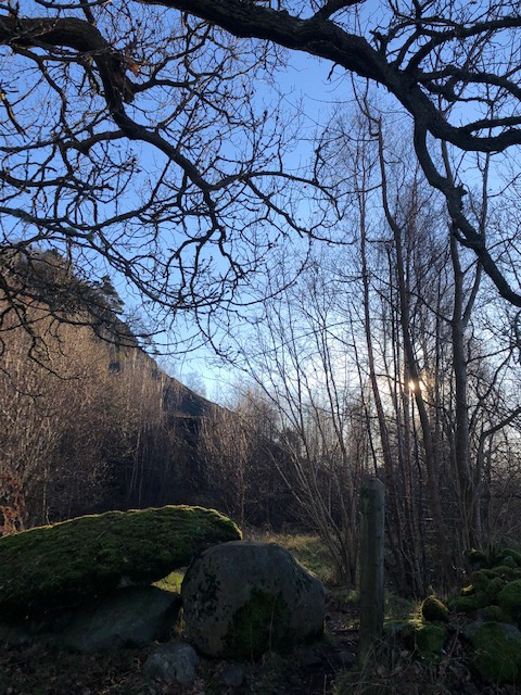 Gillian Ross: Above seat on path up to Quarry