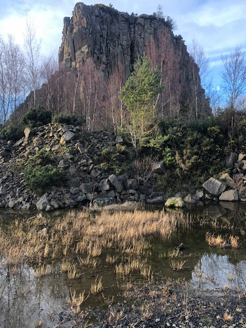 Gillian Ross: Near the old Bonnety tree