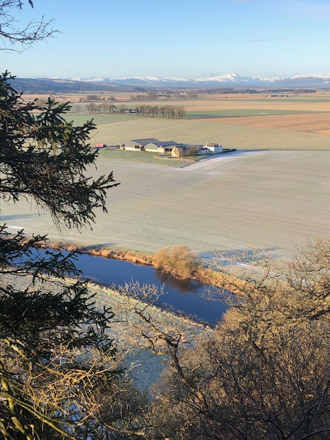 Gillian Ross: View from ‘Prudential hill Craigforth