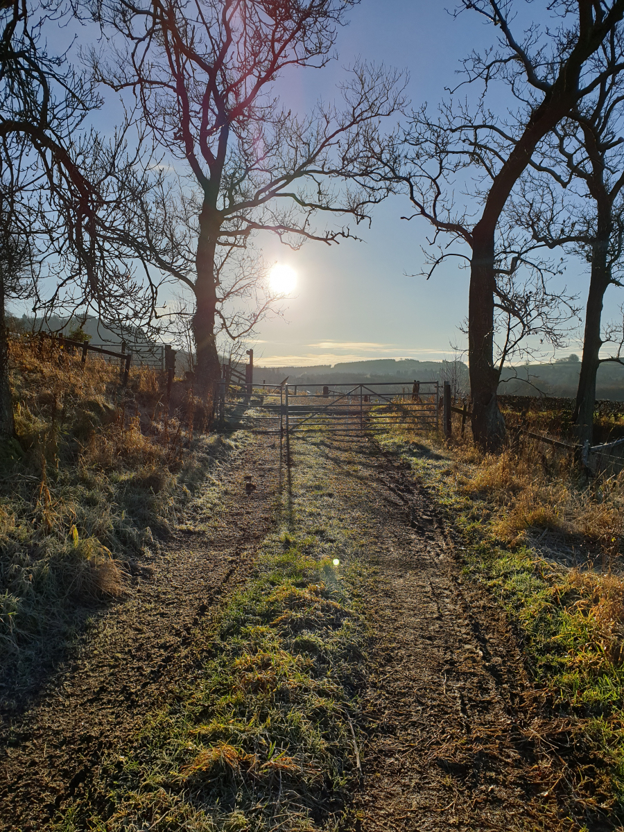 Gillian Sinclair: Sunday morning walk
