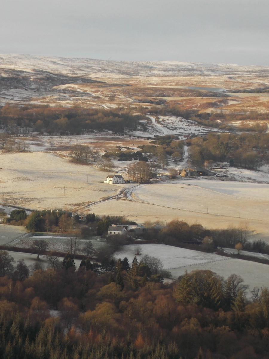 Helen Toole: Gillies Hill view west