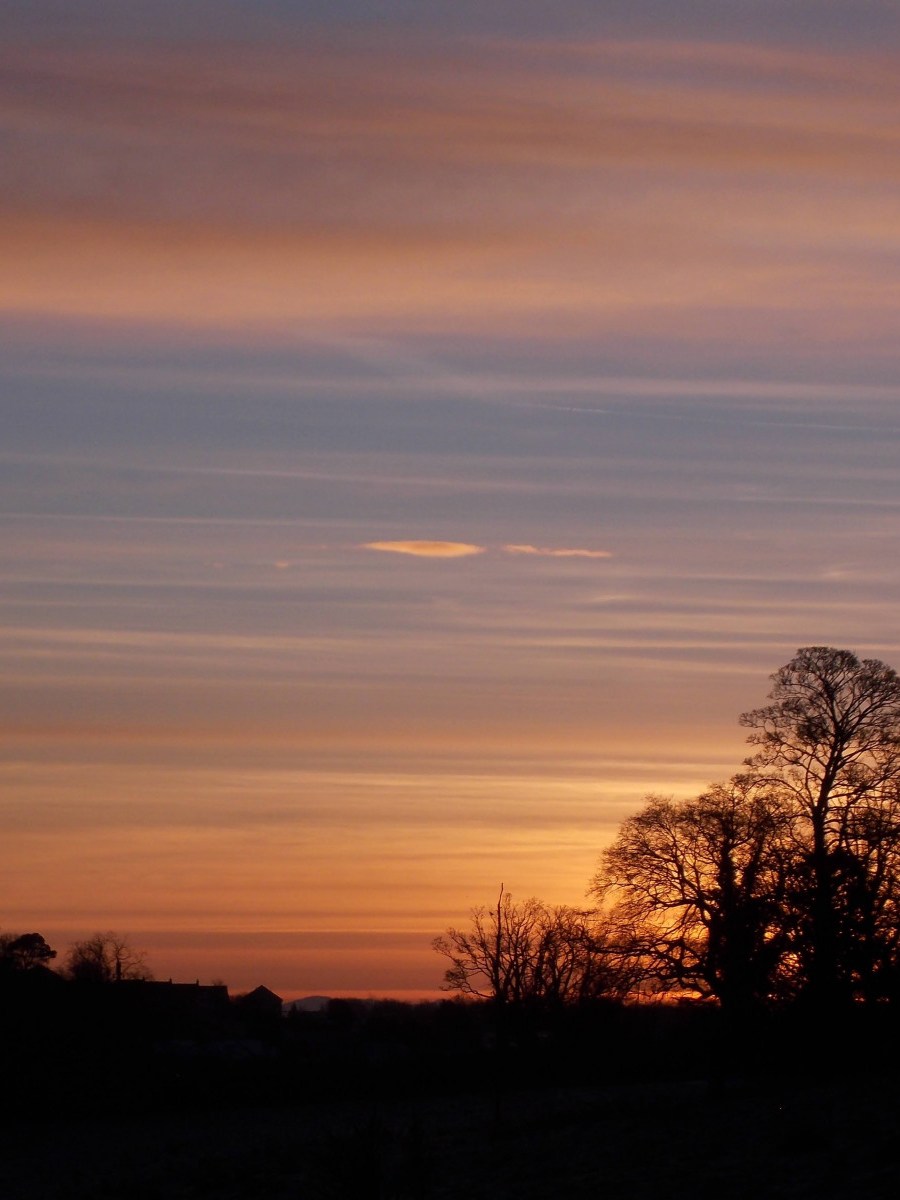 Helen Toole: Sunrise SSF 1
