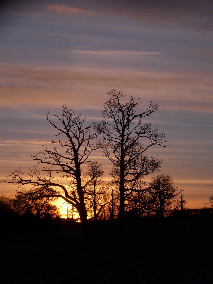 Helen Toole: Sunrise SSF 2