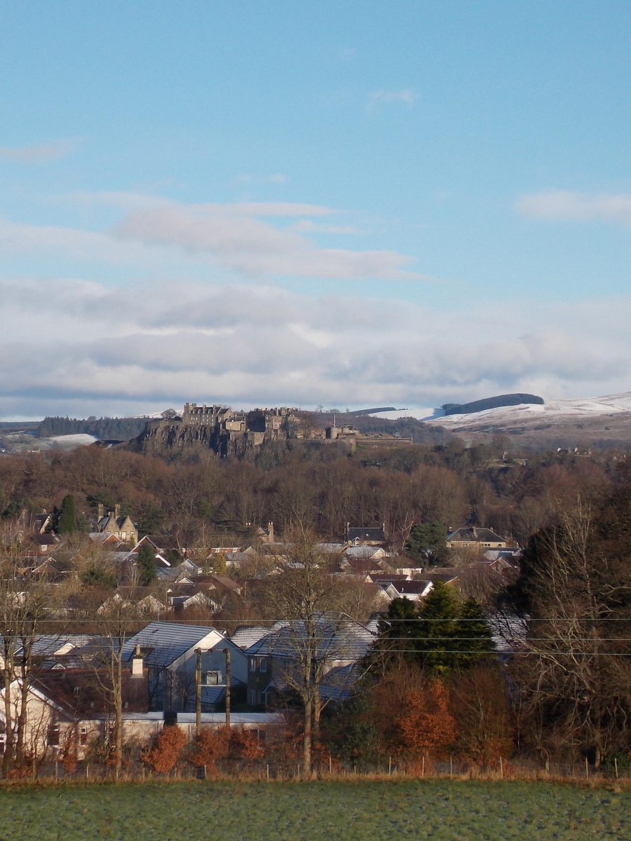 Helen Toole: View SSF 1