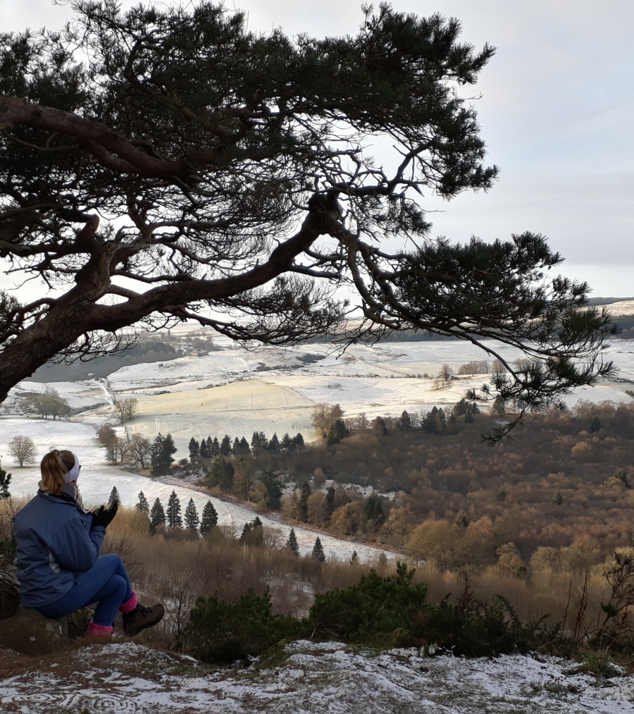 Helen Toole: early morning gillies hill