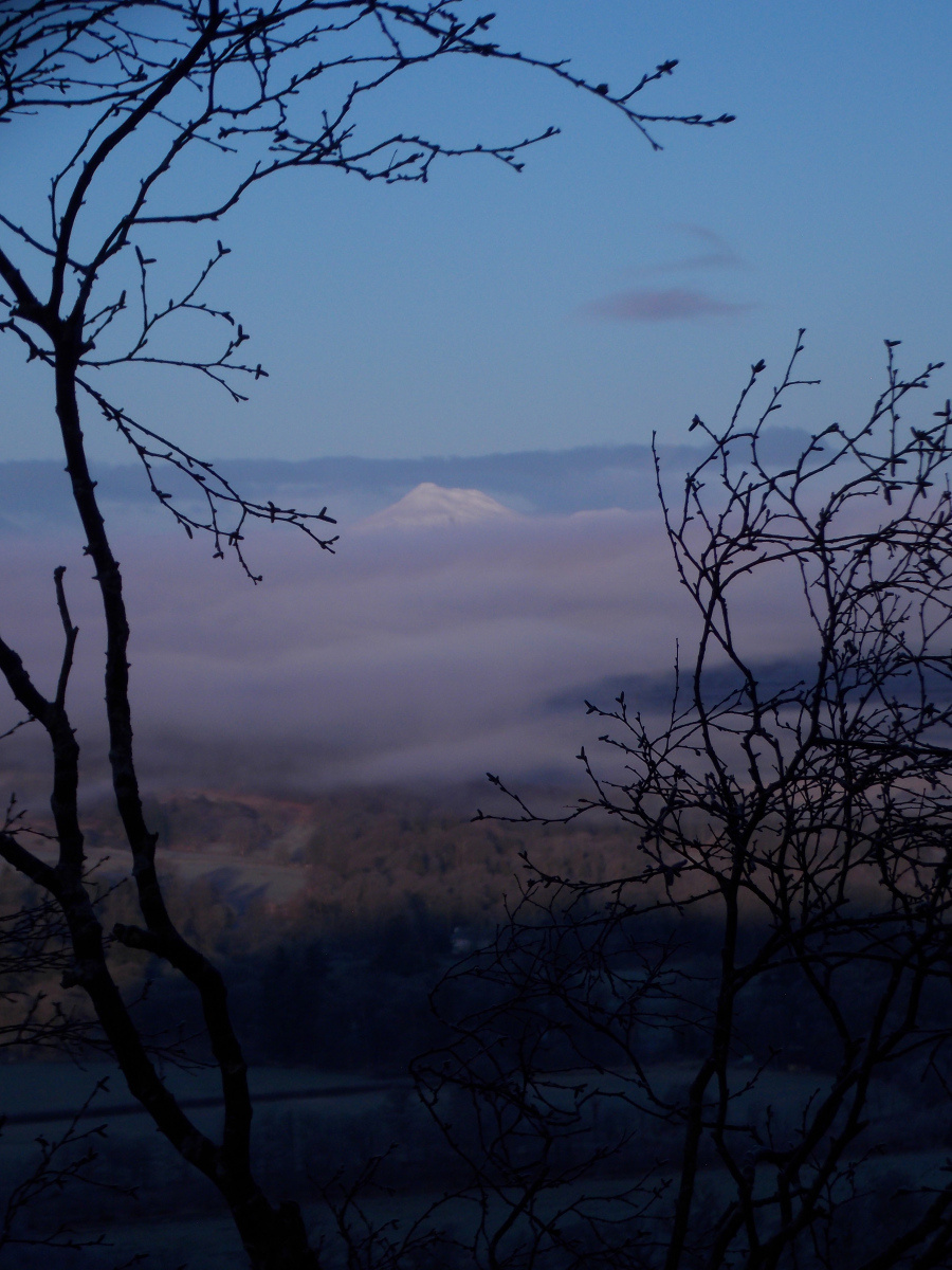 Helen Toole: foggy day