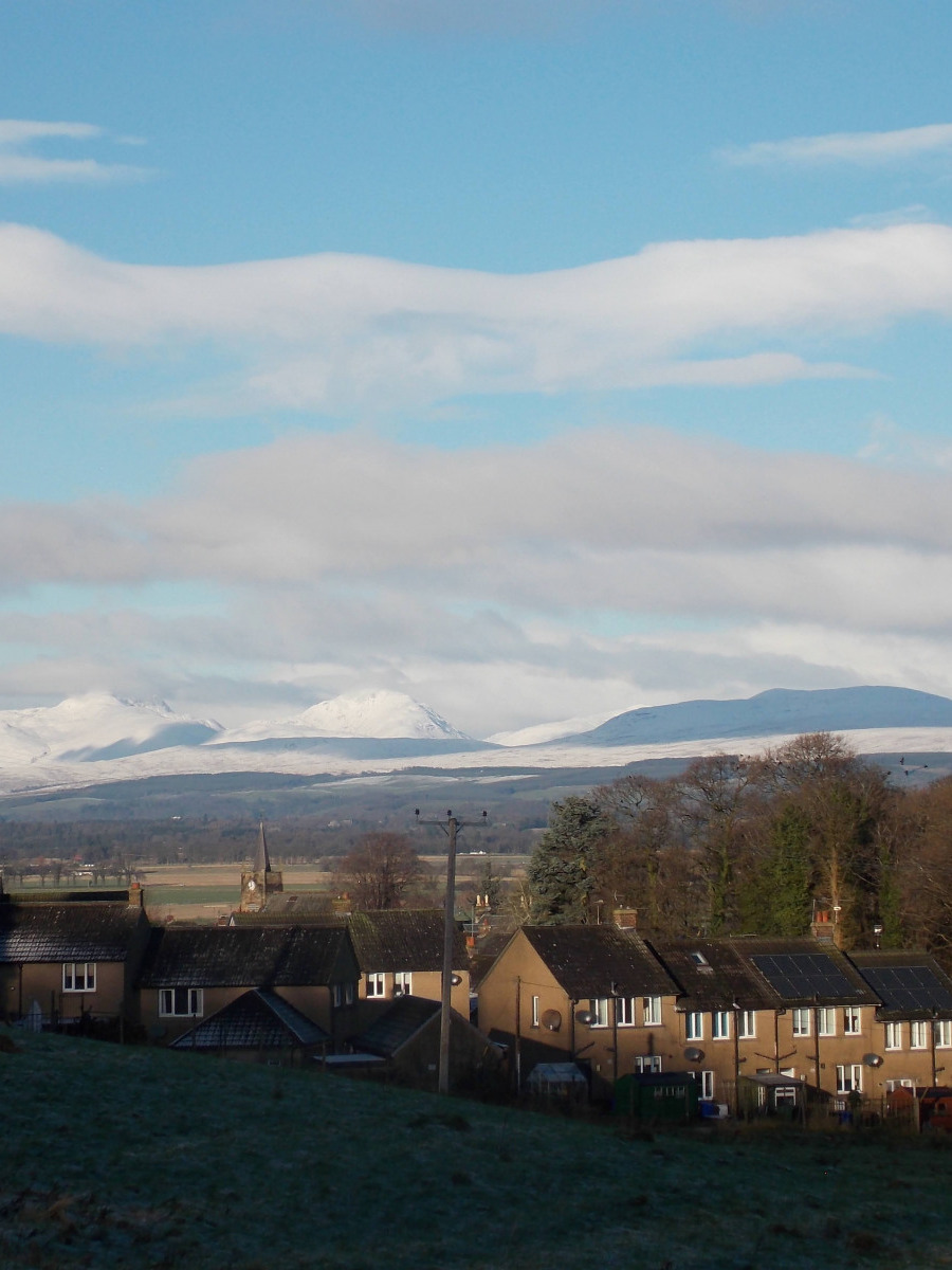 Helen Toole: ssf view west 2