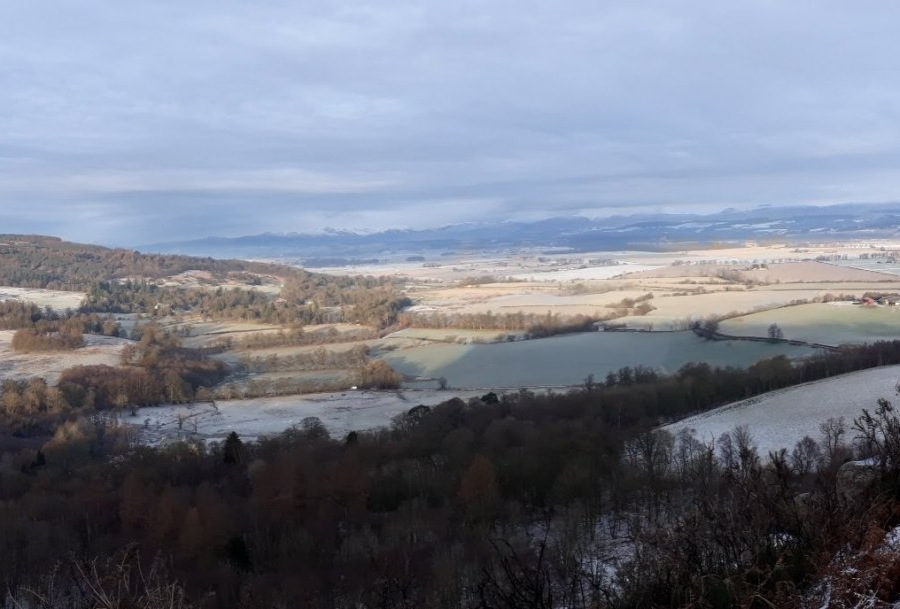 Helen Toole: View west gillies hill woods