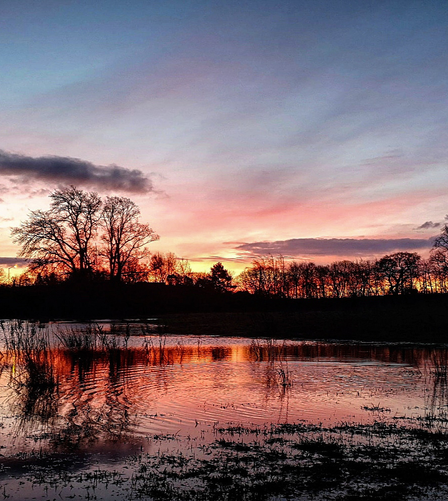 Jo Hendry: Cambusbarron Save our Seven Sisters Field