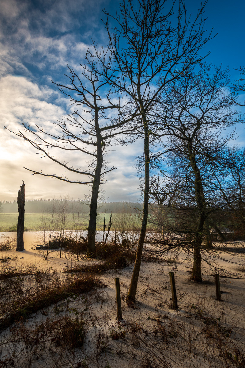 Kenneth Halley: Competition Entry