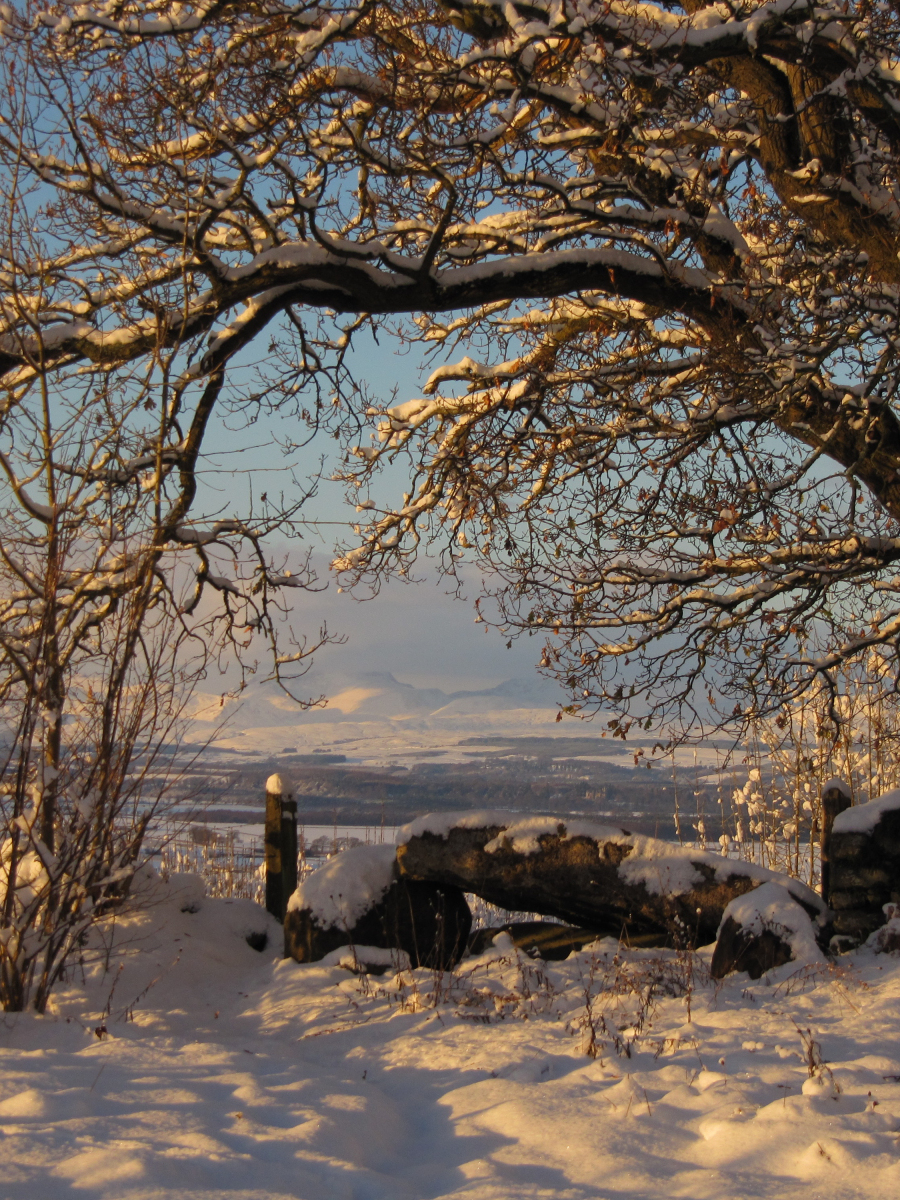 RMH: Lookin West from Quarry Path