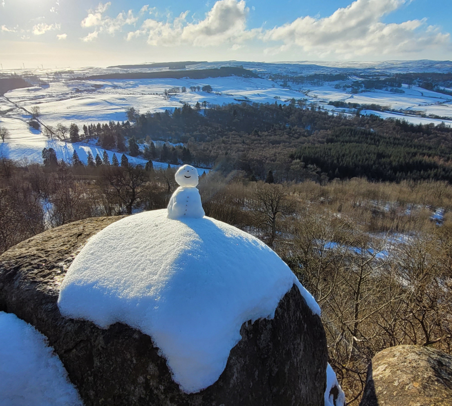 Matthew Strutt: Snowcially distanced