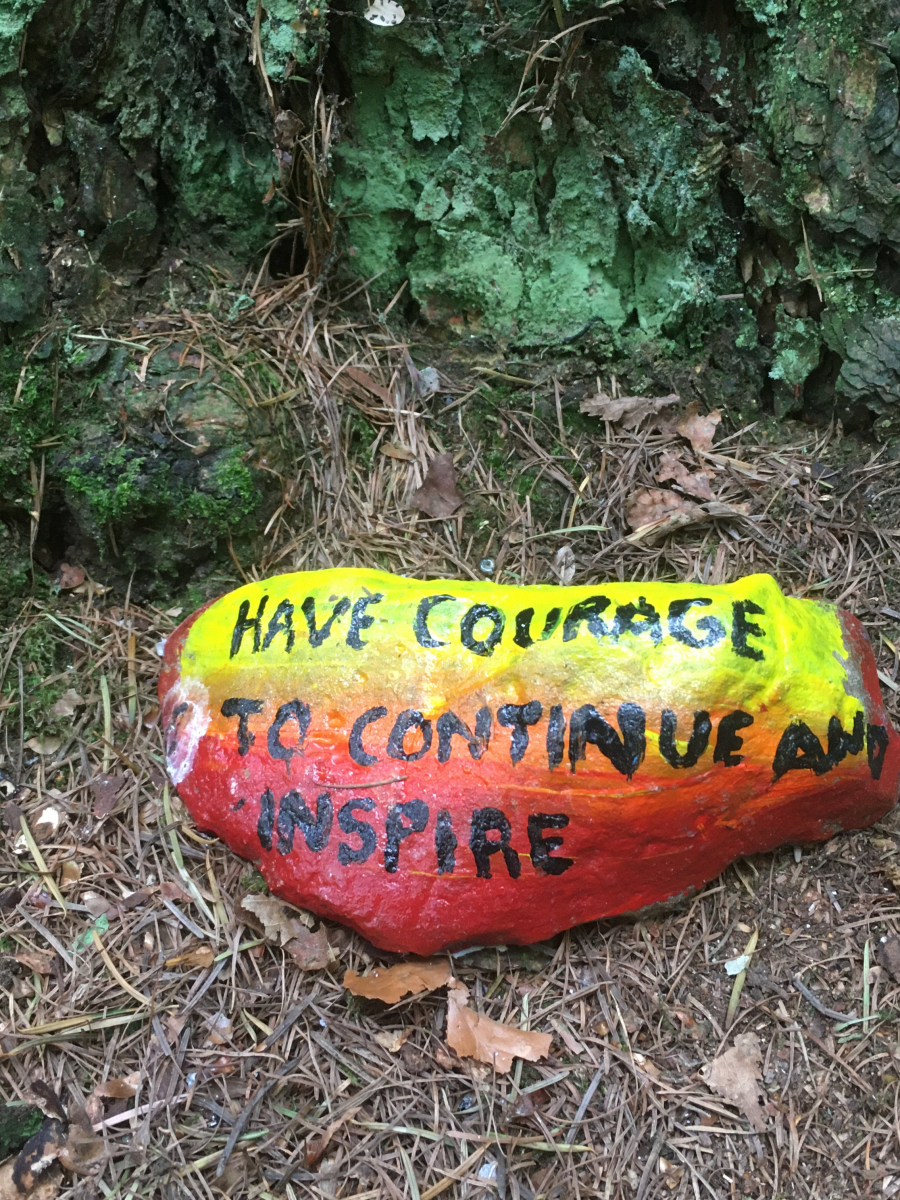 Susan Ross: Painted stone Gillies Hill