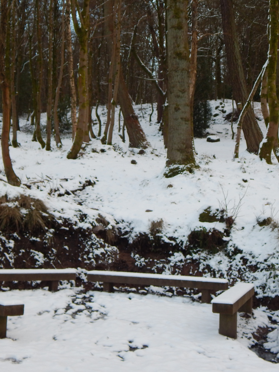 Eva Coyle Allan: Our school's outdoor classroom
