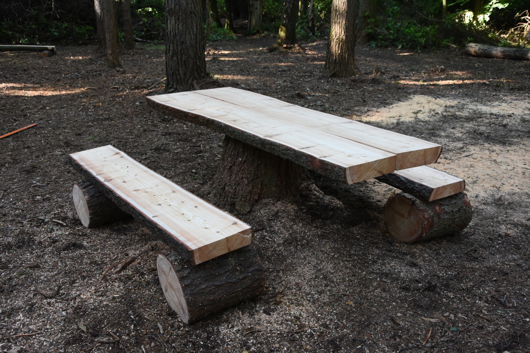 Table-on-stump-and-benches