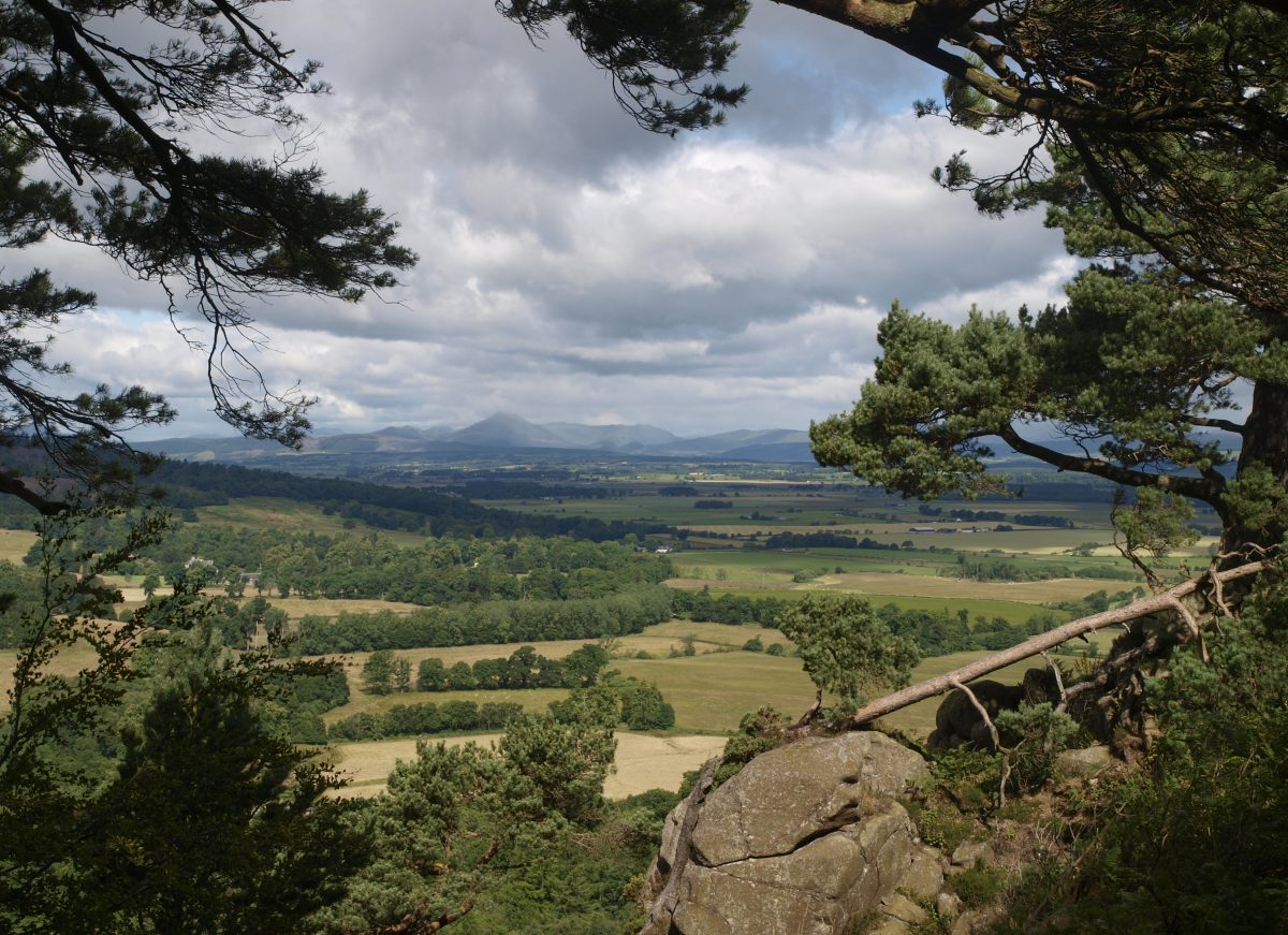 Shortlist Adult Competition CCDT