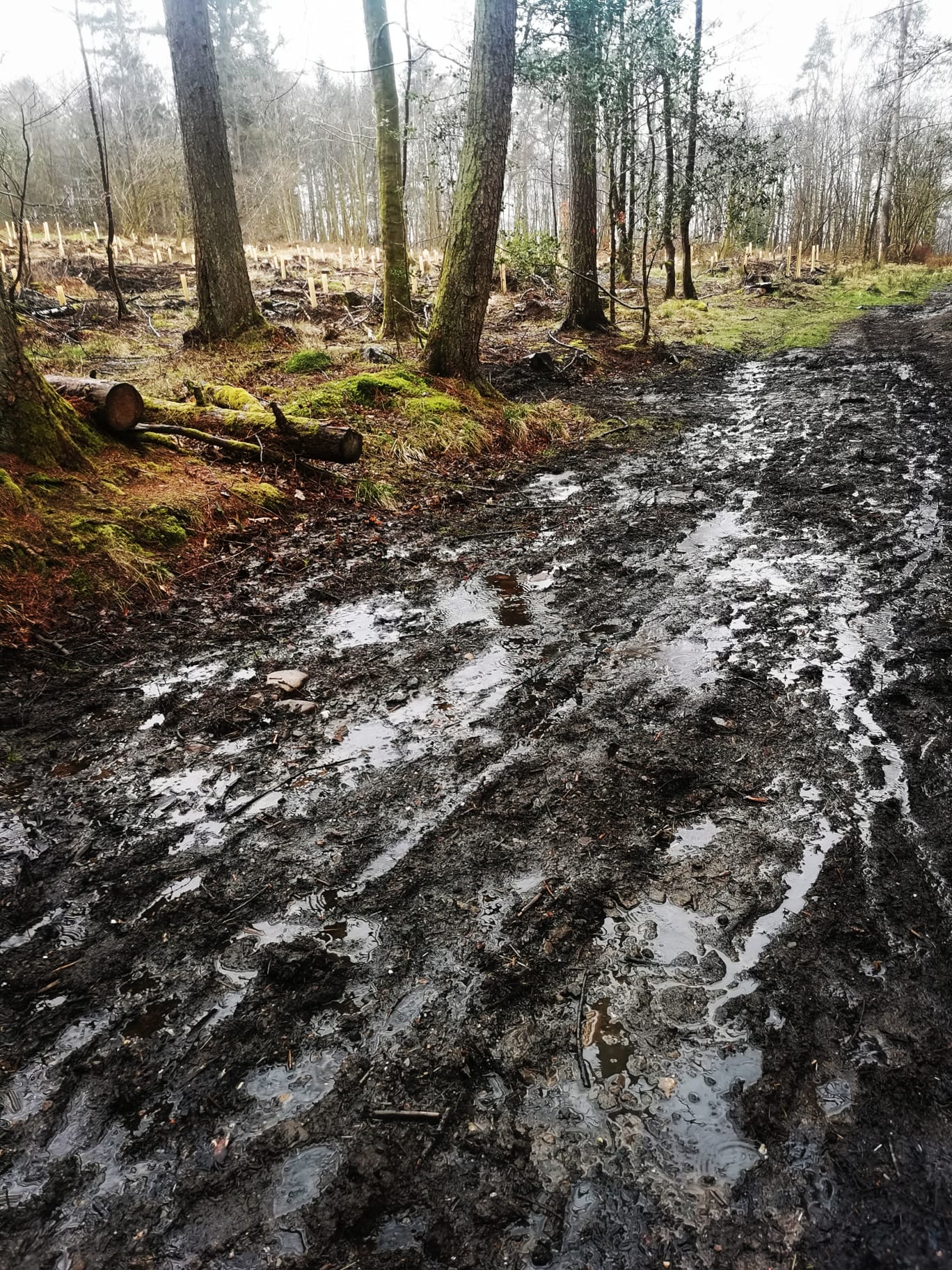 Pathfields Mudge Way Accessible Path Survey Results – CCDT